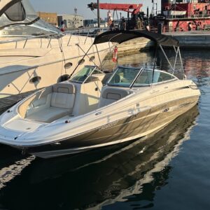 2011 Sea Ray 220 Sundeck
