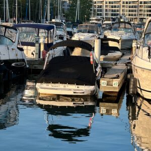 2011 Sea Ray 220 Sundeck
