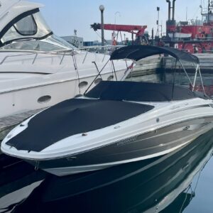 2011 Sea Ray 220 Sundeck - Image 8