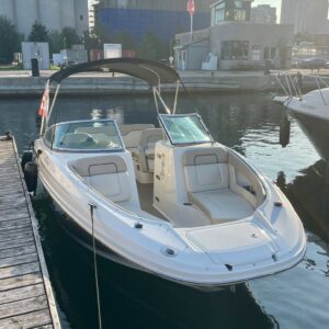 2011 Sea Ray 220 Sundeck - Image 10
