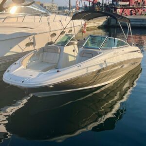 2011 Sea Ray 220 Sundeck - Image 11